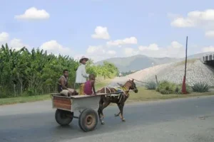 قرارداد خرید چرخ درشکه