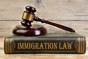 لایحه تجدیدنظر بطلان معامله به قصد فرار از دین