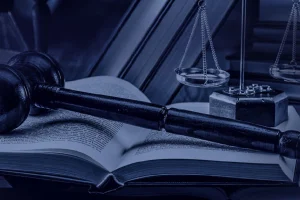 لایحه تجدیدنظر ماده ۲۲ قانون ثبت