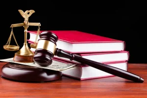 نمونه لایحه تجدید نظر ابطال سند مالکیت به نام دولت
