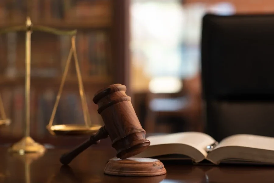 دادخواست قلع و قمع اشجار و ابناء و کلیه مستحدثات